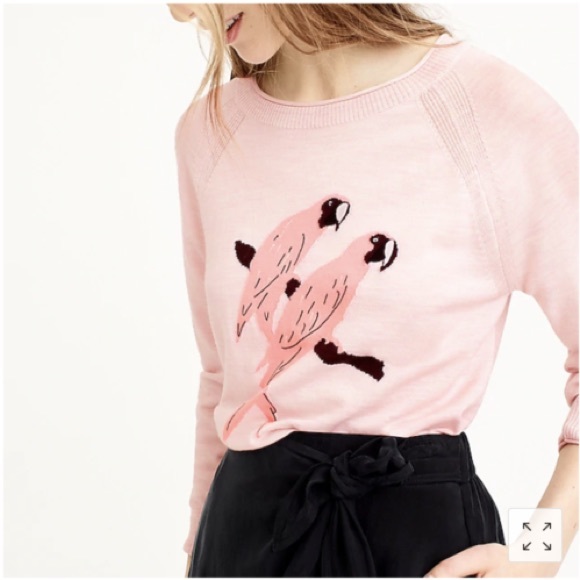 J. Crew Sweaters - J. Crew Merino Wool Parrot Sweater